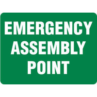 519MP -- 300x225mm - Poly - Emergency Assembly Point
