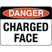 600X400mm - Metal, Class 2 Reflective - Danger Charged Face