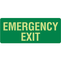 350x140mm - Poly - Non Luminous - Emergency Exit