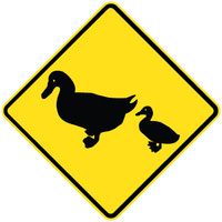 Ducks Picto