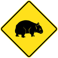 Wombats Picto
